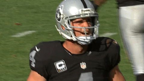 Raiders.gif